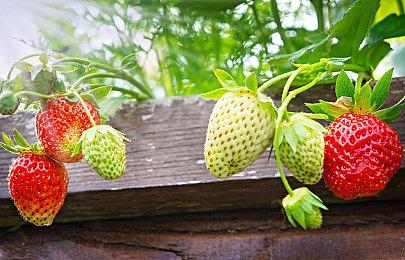 KK战令S24扬帆起航，尽享700%超值权益！